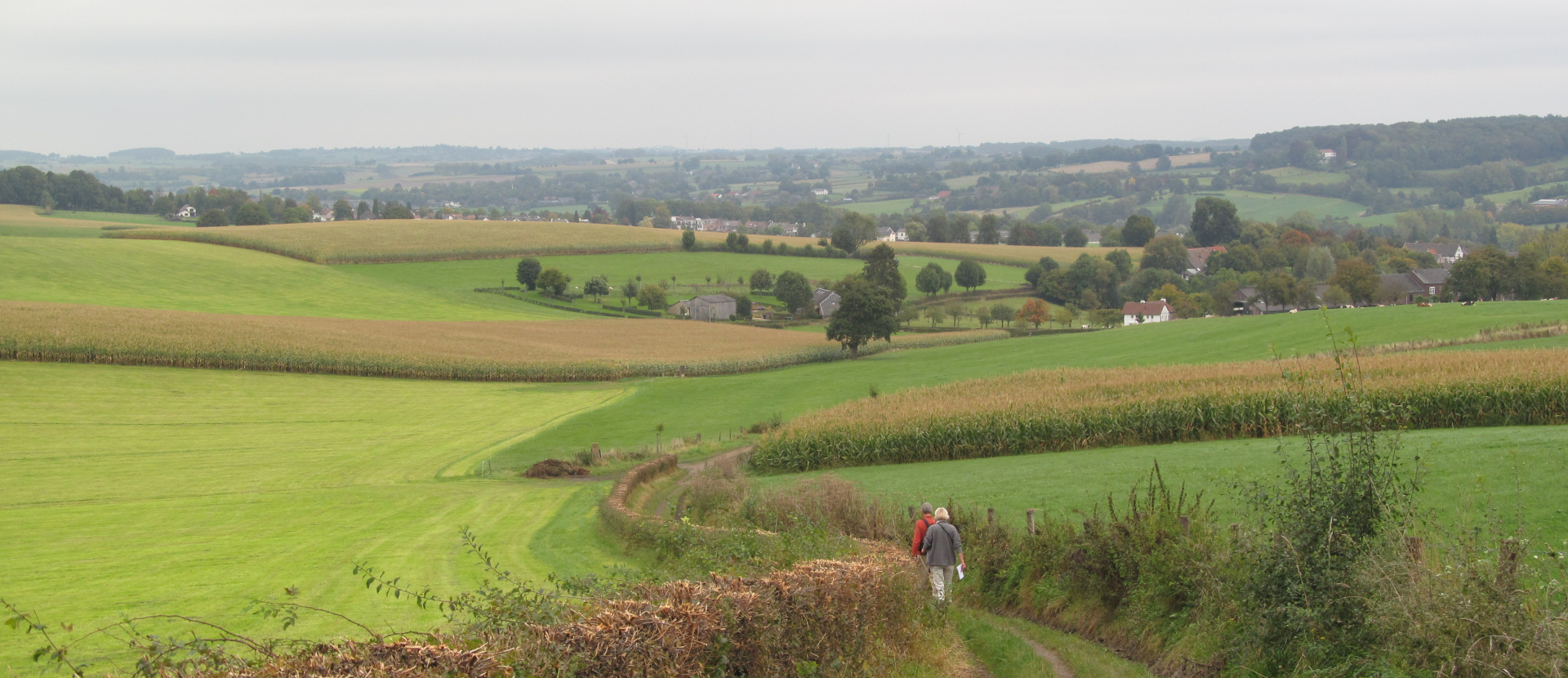 Wandelroute In Zuid Limburg | Wandelen Nederland | Oppad.nl